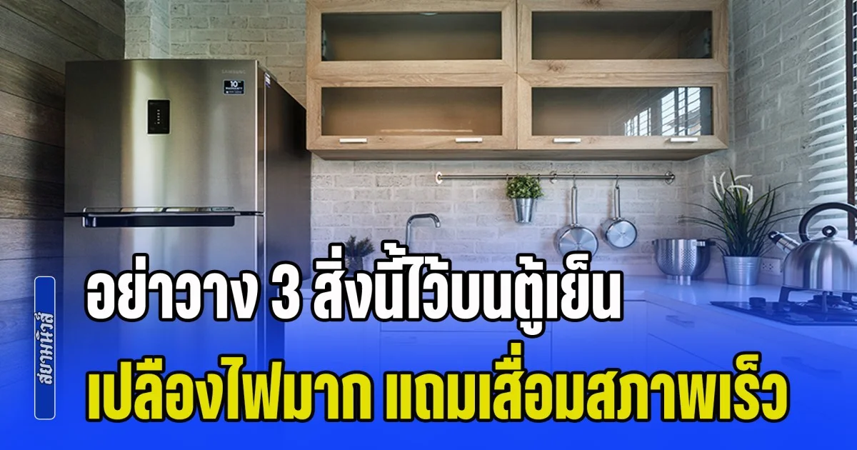 ช่างไฟเตือนด่วน! อย่าวาง 3 สิ่งนี้ไว้บนตู้เย็นเด็ดขาด เปลืองไฟมาก แถมเสื่อมสภาพเร็ว