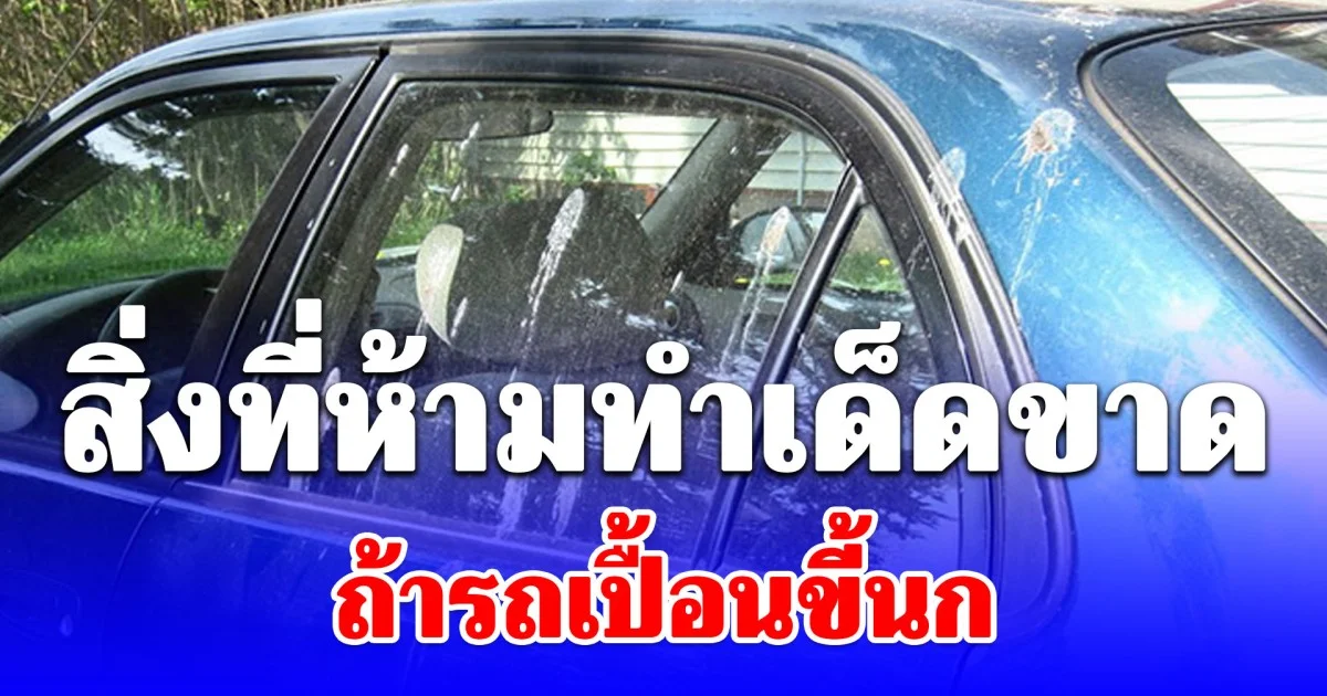 หลายคนยังพลาด สิ่งที่ห้ามทำเด็ดขาด ถ้ารถเปื้อนขี้นก