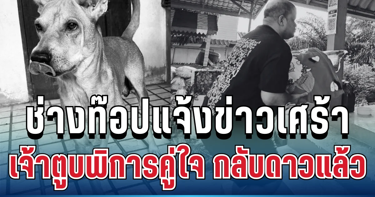 สุดบีบหัวใจ! ช่างท๊อปแจ้งข่าวเศร้า ชายใหญ่ เจ้าตูบพิการคู่ใจ กลับดาวแล้ว