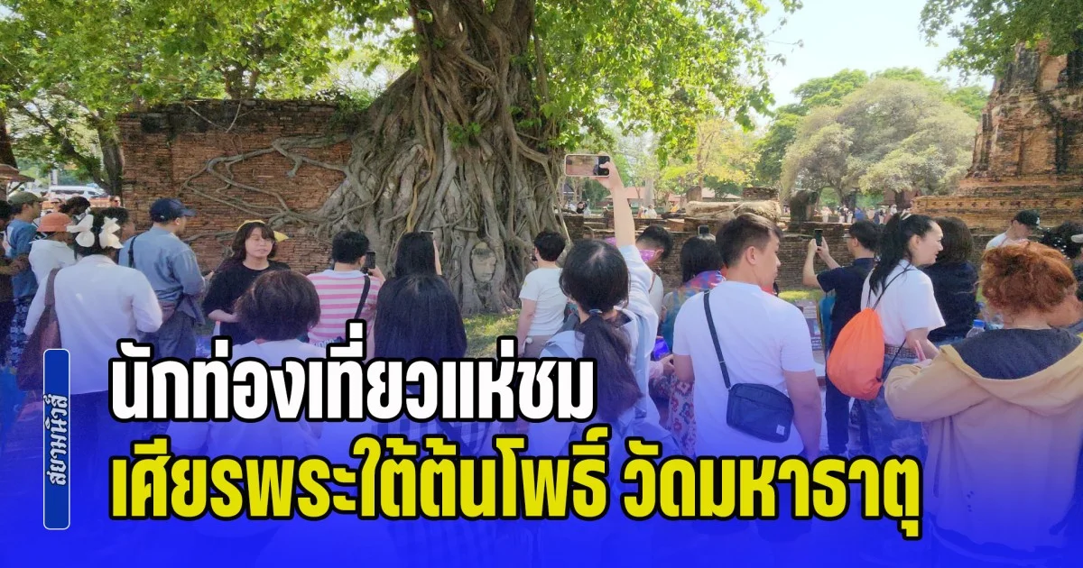 นักท่องเที่ยวแห่ชม เศียรพระใต้ต้นโพธิ์ วัดมหาธาตุ กรุงเก่า หลังโซเชียลพูดถึงกระแสกัมพูชาสร้างคล้ายกัน