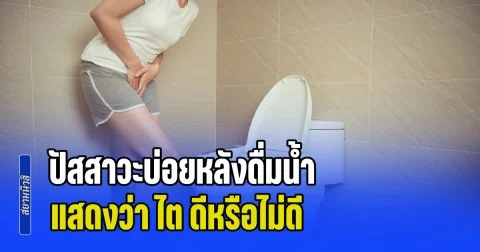 เรื่องที่หลายคนไม่รู้ ปัสสาวะบ่อยหลังดื่มน้ำ แสดงว่า ไต ดีหรือไม่ดี