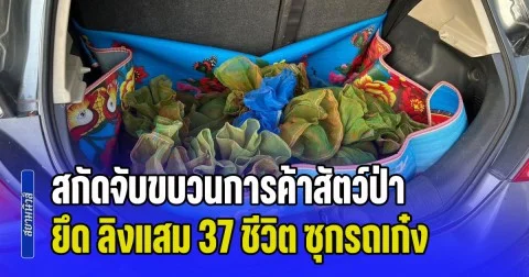 ปทส. สกัดจับขบวนการค้าสัตว์ป่า รวบคาสี่แยก ยึด ลิงแสม 37 ชีวิต ซุกรถเก๋งเตรียมส่งออก