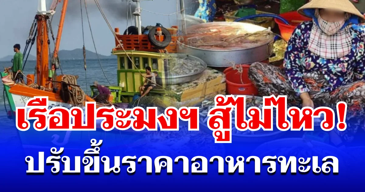 สู้ไม่ไหว! เรือประมงพาณิชย์ ปรับขึ้นราคาอาหารทะเล หลังน้ำมันเขียวพุ่งแรง