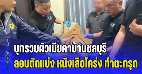 บุกรวบผัวเมียคาบ้านชลบุรี ลอบตัดแบ่ง หนังเสือโคร่ง ทำตะกรุดขายออนไลน์