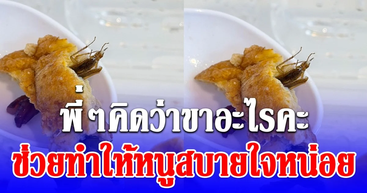 สาวกินไข่เจียวมาครึ่งทาง เจอบางอย่างยื่นโผล่ออกมา ยิ่งซูมยิ่งชัด