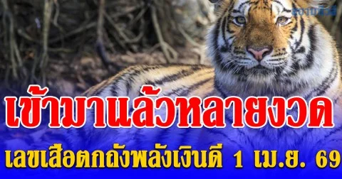 พลาดแล้วจะเสียดาย! เลข เสือตกถังพลังเงินดี 1 เม.ย. 69