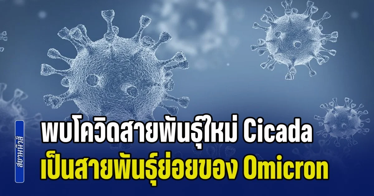ด่วน! พบโควิดสายพันธุ์ใหม่ Cicada เป็นสายพันธุ์ย่อยของ Omicron กลายพันธุ์สูง แพร่แล้วกว่า 20 ประเทศ