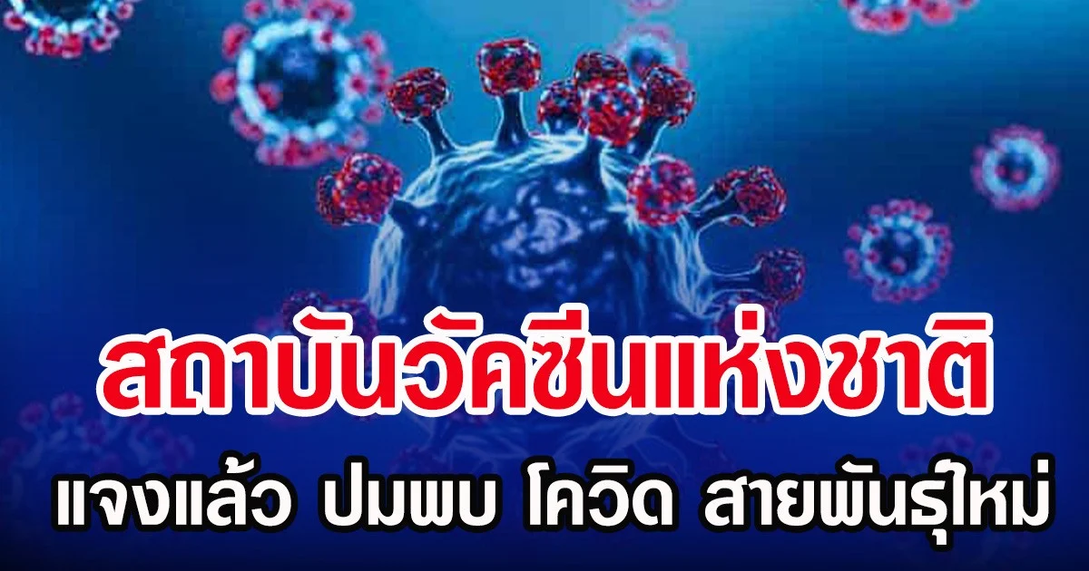 สถาบันวัคซีนแห่งชาติ แจงแล้ว ปมพบ โควิด สายพันธุ์ใหม่