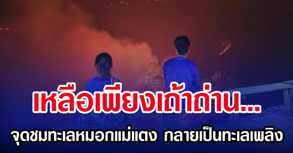 เหลือเพียงเถ้าถ่าน… จุดชมทะเลหมอกแม่แตง กลายเป็นทะเลเพลิง