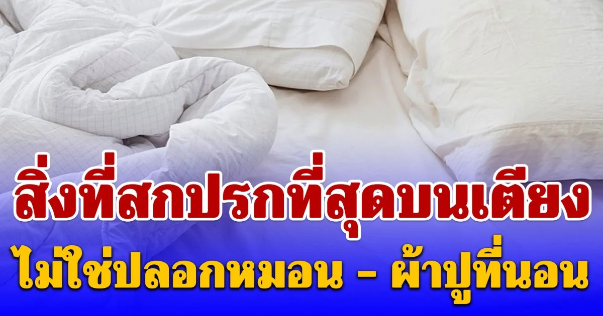 แค่ซักไม่ได้ผล! แพทย์เตือน สิ่งที่สกปรกที่สุดบนเตียง ไม่ใช่ปลอกหมอน - ผ้าปูที่นอน