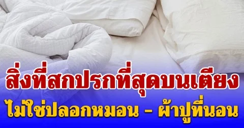 แค่ซักไม่ได้ผล! แพทย์เตือน สิ่งที่สกปรกที่สุดบนเตียง ไม่ใช่ปลอกหมอน - ผ้าปูที่นอน
