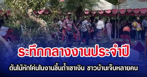 ระทึกกลางงานประจำปี ต้นไม้หักโค่นกลางงานขึ้นถ้ำเขาเงิน ชาวบ้านเจ็บหลายคน