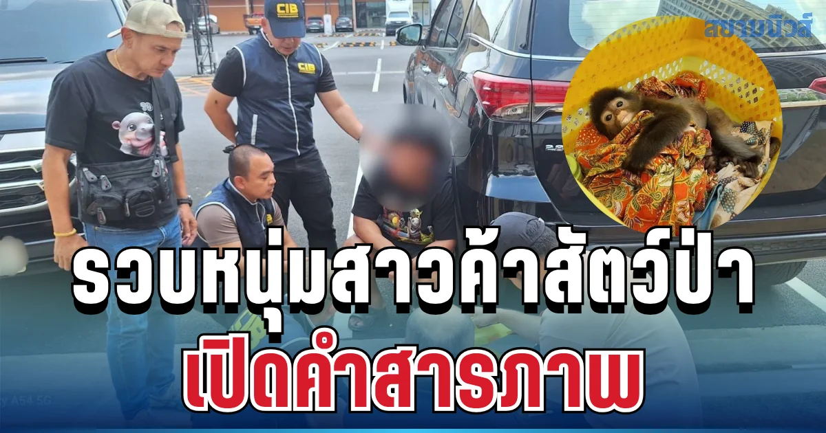 ไม่รอด! ตำรวจรวบหนุ่มสาวค้าสัตว์ป่า พร้อมค่างแว่น เปิดคำสารภาพ