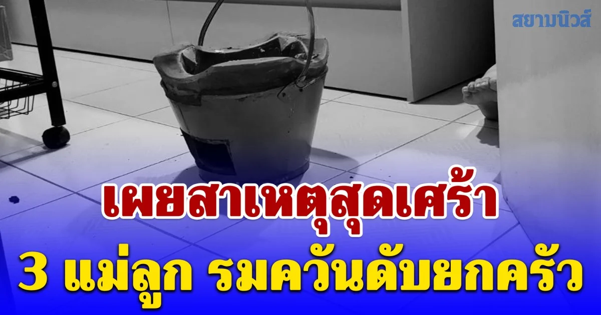 เผยสาเหตุสุดเศร้า 3 แม่ลูก รมควันดับยกครัว