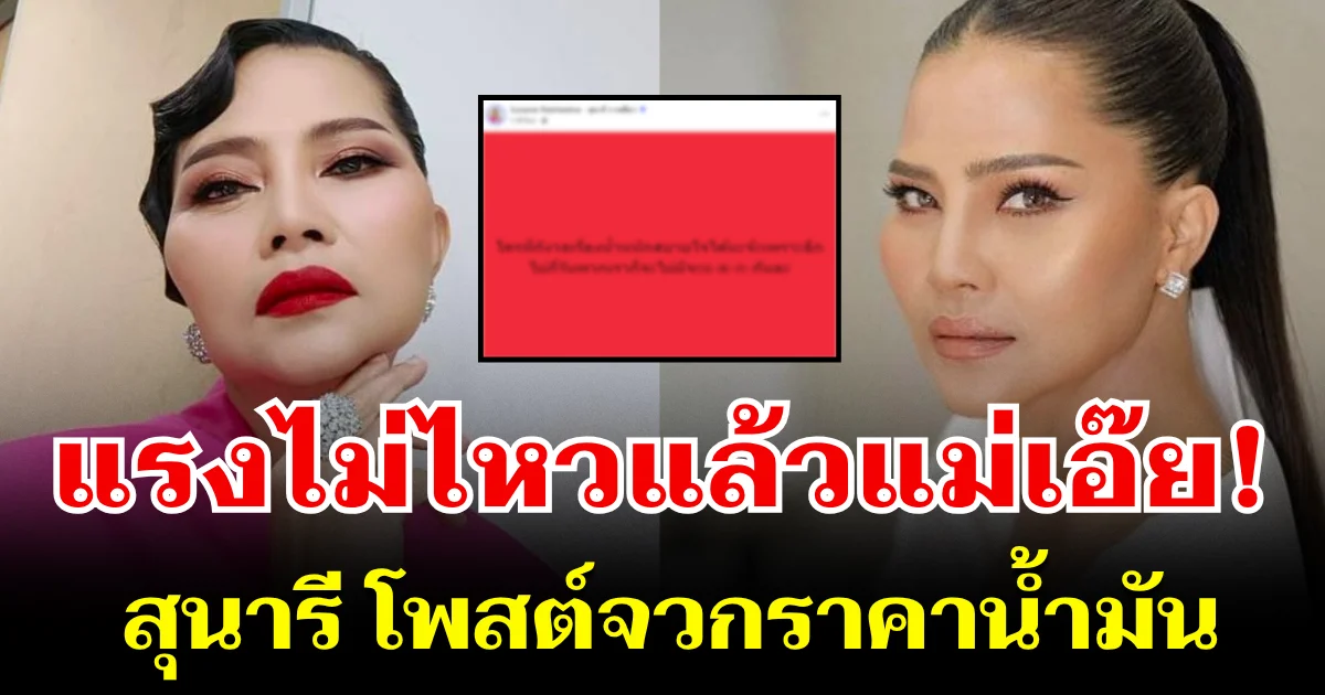 แรงมากแม่! สุนารี โพสต์จวกราคาน้ำมัน แฟน ๆ แห่คอมเมนต์รัว ๆ