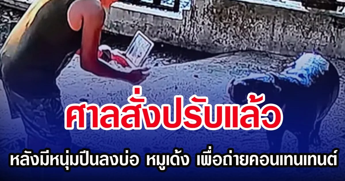 ศาลสั่งปรับแล้ว หลังมีหนุ่มปีนลงบ่อ หมูเด้ง เพื่อถ่ายคอนเทนเทนต์
