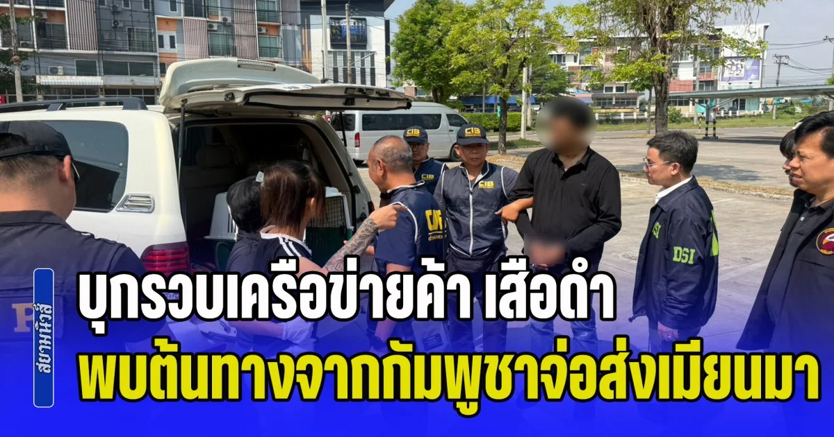 บุกรวบเครือข่ายค้า เสือดำ ข้ามชาติ กลางห้างแม่สอด พบต้นทางจากกัมพูชาจ่อส่งเมียนมา