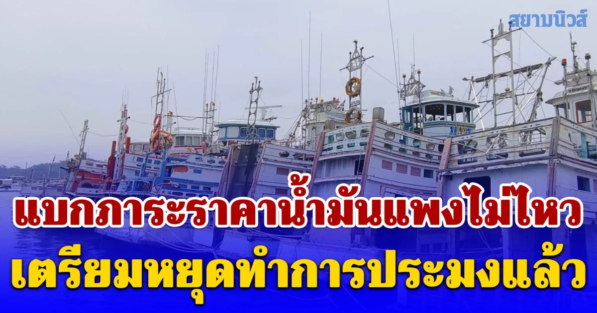 เรือประมงกว่า 400 ลำ แบกภาระราคาน้ำมันแพงไม่ไหว เตรียมหยุดทำการประมงแล้ว