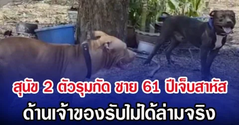 สุนัข 2 ตัวรุมกัด ชาย 61 ปีเจ็บสาหัส ด้านเจ้าของรับไม่ได้ล่ามจริง