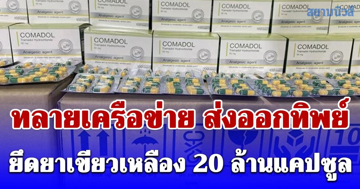 ปคบ.-อย. บุก 3 จุดใหญ่ ทลายขบวนการ ส่งออกทิพย์ ยึดยาเขียวเหลือง 20 ล้านแคปซูล