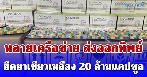 ปคบ.-อย. บุก 3 จุดใหญ่ ทลายขบวนการ ส่งออกทิพย์ ยึดยาเขียวเหลือง 20 ล้านแคปซูล