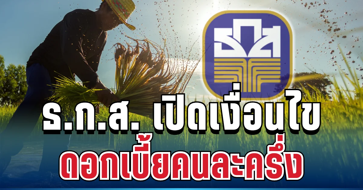 ไฟเขียวแล้ว! ธ.ก.ส. จัดสินเชื่อ ดอกเบี้ยคนละครึ่ง ได้สูงสุด 1 แสน เปิดเงื่อนไขครบ