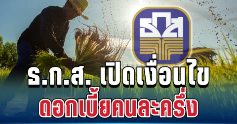 ไฟเขียวแล้ว! ธ.ก.ส. จัดสินเชื่อ ดอกเบี้ยคนละครึ่ง ได้สูงสุด 1 แสน เปิดเงื่อนไขครบ