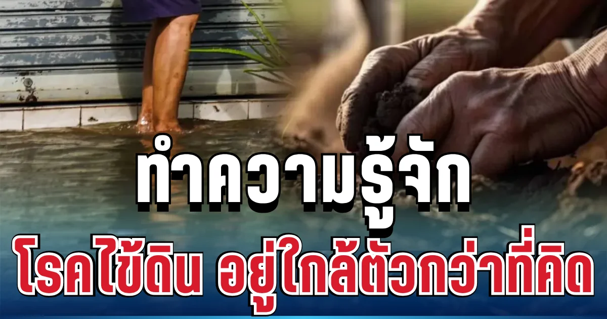 อย่ามองข้าม! ทำความรู้จัก ไข้ดิน หลังพบเคสช่างภาพดังเสียชีวิต ภัยเงียบที่อยู่ใกล้ตัว