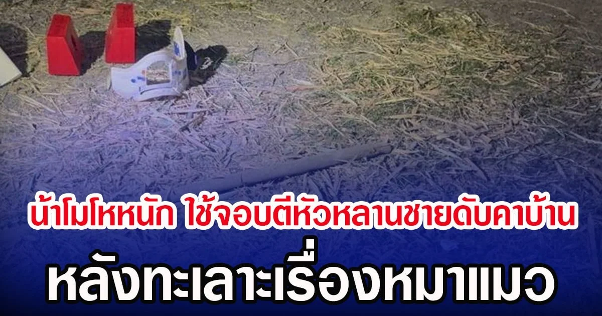 น้าโมโหหนัก ใช้จอบตีหัวหลานชายดับคาบ้าน หลังทะเลาะเรื่องหมาแมว