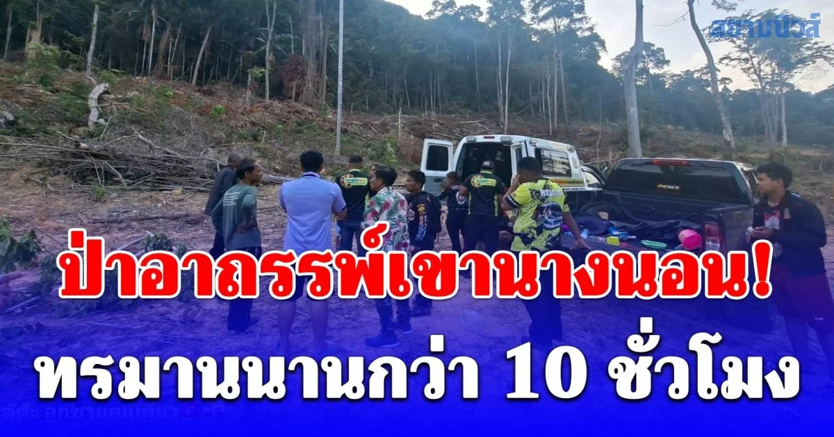 ป่าอาถรรพ์เขานางนอน! ชายปีนตีผึ้งพลาดท่าซี่โครงหัก ทรมานนานกว่า 10 ชั่วโมง เคยมีคนหลงป่าดับมาแล้ว
