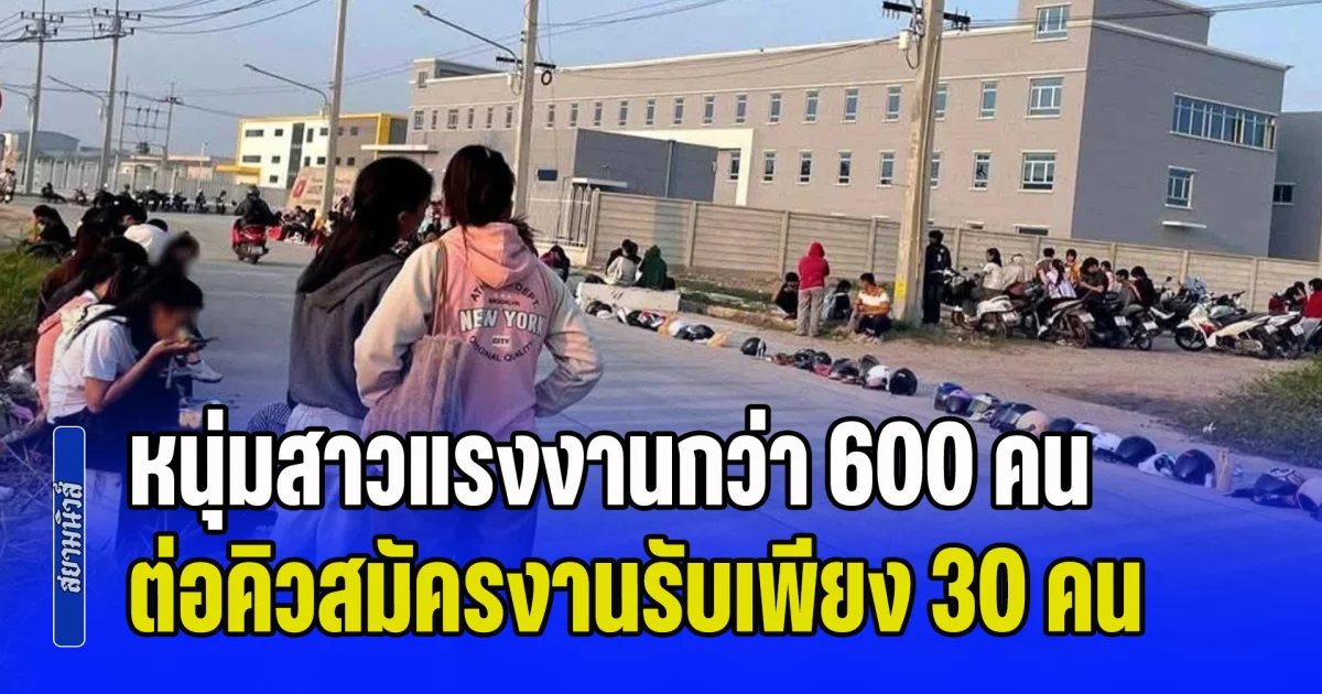 พลังคนสู้ชีวิต! หนุ่มสาวกว่า 600 คนแห่สมัครงานโรงงานเปิดใหม่ บางคนมาตั้งแต่เที่ยงคืน นอนรอด้วยความหวัง ทั้งที่บริษัทรับเพียงแค่ 30 คน