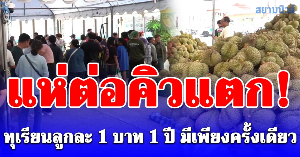 แห่ต่อคิวแตก! ทุเรียนลูกละ 1 บาท หน้าสวนนกฯ จำกัดวันละ 200 สิทธิ์