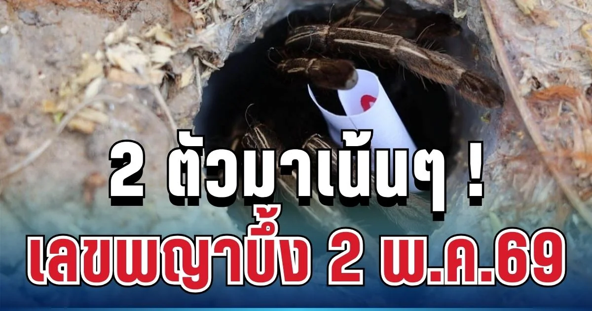 ปล่อยแล้ว! เลขพญาบึ้ง 2 พ.ค.69 คาบมา 2 ตัวเน้น ๆ