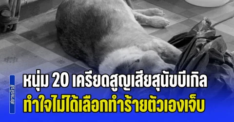 ใจสลายเกินจะรับไหว! หนุ่ม 20 เครียดสูญเสียสุนัขบีเกิลแสนรัก ทำใจไม่ได้เลือกทำร้ายตัวเองเจ็บ