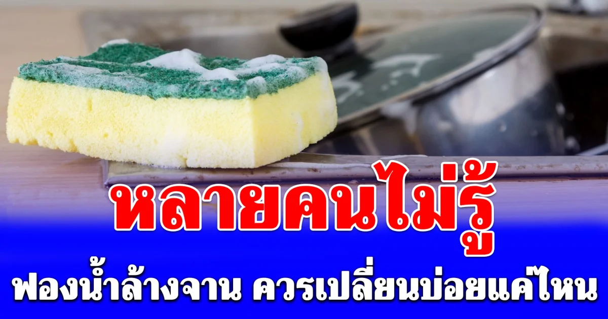 หลายคนไม่รู้ ฟองน้ำล้างจาน ควรเปลี่ยนบ่อยแค่ไหน ของใช้ใกล้ตัวที่สกปรกกว่าที่คิด