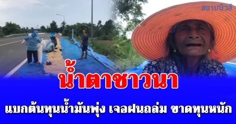 ชาวนาปรังชายแดนไทยกัมพูชา แบกต้นทุนน้ำมันพุ่ง เจอฝนถล่ม ขาดทุนหนัก เร่งเก็บข้าวหนีน้ำตาแทบไหล