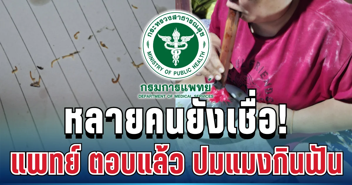 หลายคนเข้าใจผิด! กรมการแพทย์ เคลื่อนไหวแล้ว เคลียร์ชัด ปมแมงกินฟัน
