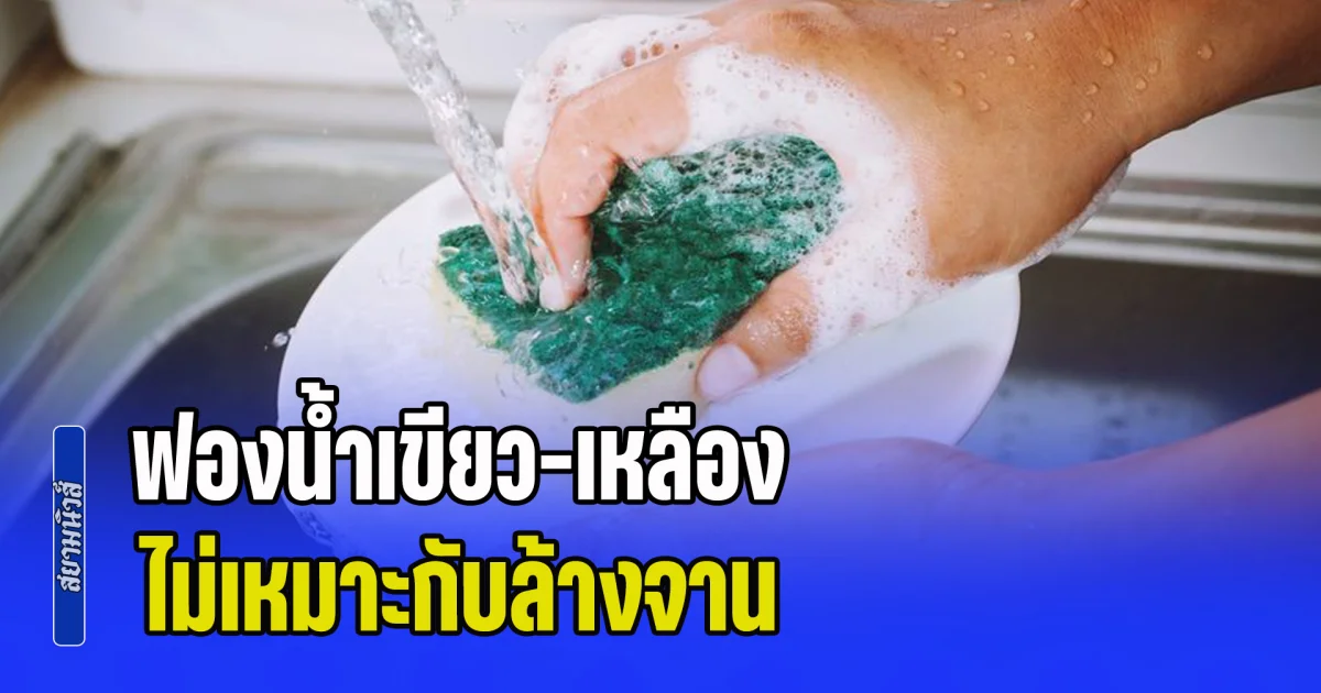 ใช้ทุกวันเพิ่งจะรู้! ฟองน้ำเขียว-เหลือง ไม่เหมาะกับล้างจาน เฉลยสีไหนใช้กับอะไร