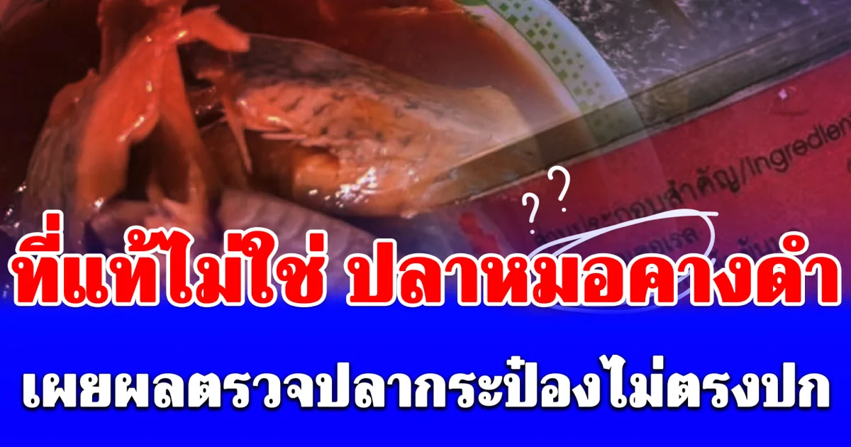 ด่วน! เผยผลตรวจปลากระป๋องไม่ตรงปก ที่แท้ไม่ใช่ ปลาหมอคางดำ