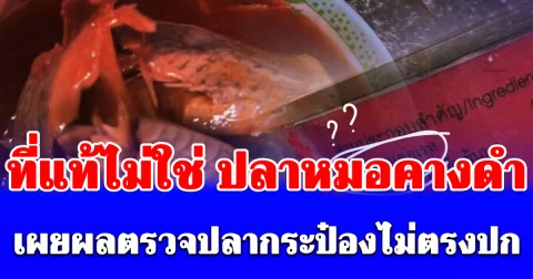 ด่วน! เผยผลตรวจปลากระป๋องไม่ตรงปก ที่แท้ไม่ใช่ ปลาหมอคางดำ