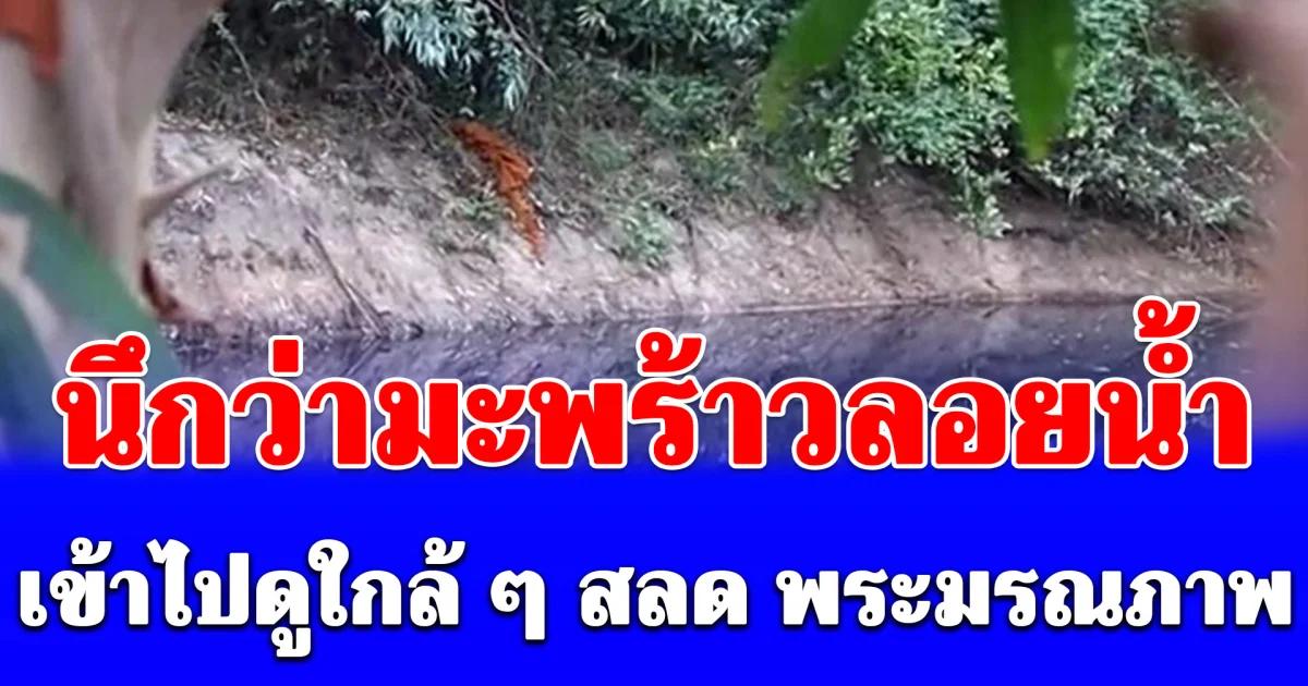 ชาวบ้านช็อก นึกว่ามะพร้าวลอยน้ำ เข้าไปดูใกล้ ๆ สลด พระมรณภาพ