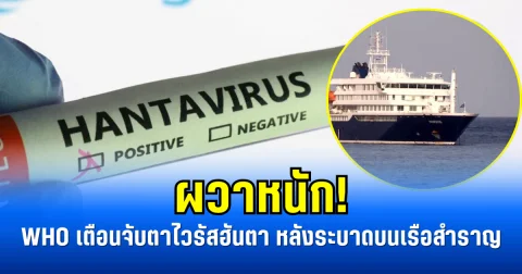 ผวาหนัก! WHO เตือนจับตาไวรัสฮันตา หลังระบาดบนเรือสำราญ