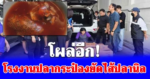 โผล่อีก โรงงานปลากระป๋องยัดไส้ปลานิล เจ้าหน้าที่อายัด 235 กระป๋อง สั่งระงับการผลิตทันที