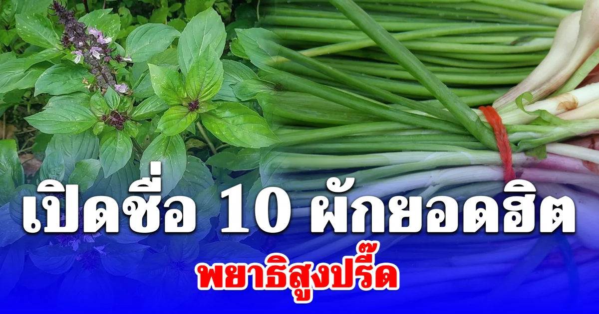 เปิด 10 ผักสดยอดนิยม พบปนเปื้อนพยาธิสูงกว่าที่คิด หลายคนกินสดแทบทุกวัน