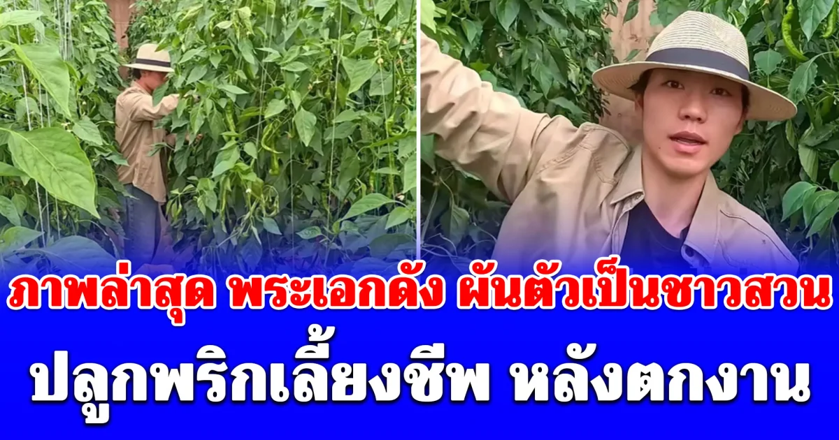 ภาพล่าสุด พระเอกดัง ผันตัวเป็นชาวสวน ปลูกพริกเลี้ยงชีพ หลังตกงาน (ข่างต่างประเทศ)
