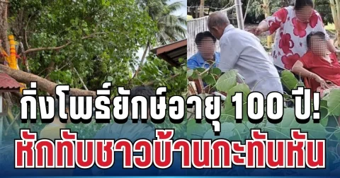 วินาทีระทึก! กิ่งโพธิ์ยักษ์อายุ 100 ปี หักทับชาวบ้านกะทันหัน บาดเจ็บสาหัส