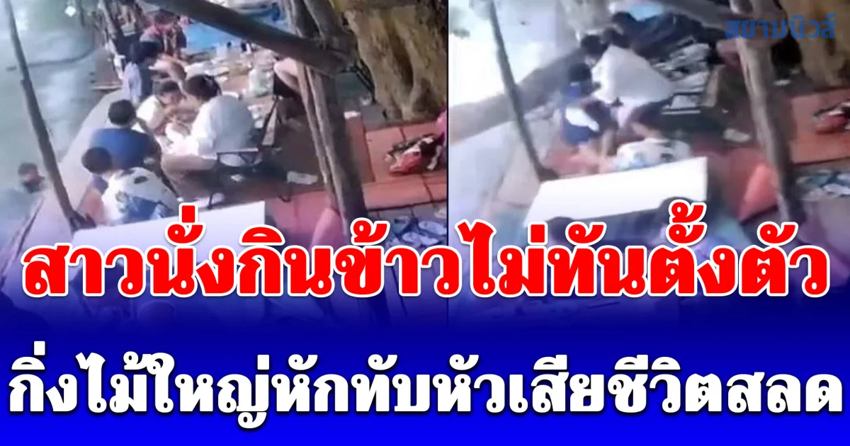 สาวนั่งกินข้าวไม่ทันตั้งตัว เกิดพายุฤดูร้อน ลมกระโชกแรงพัดกิ่งไม้ใหญ่หักทับเสียชีวิตสลด