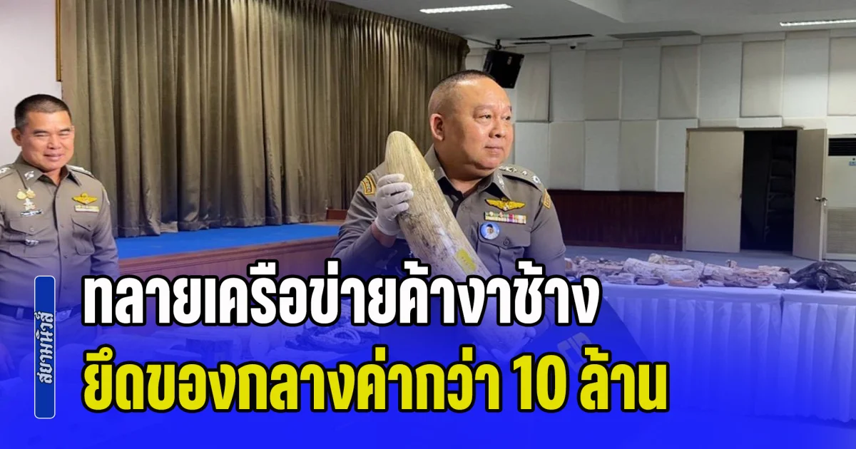 เปิดปฏิบัติการ คชาฆาตปิดปลายงา ปูพรม 7 จังหวัด ทลายเครือข่ายค้างาช้างแอฟริกาข้ามชาติ ยึดของกลางค่ากว่า 10 ล้าน