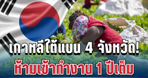ด่วนที่สุด! เกาหลีใต้สั่งแบนแรงงานไทย 4 จังหวัด ห้ามเข้าทำงาน 1 ปีเต็ม