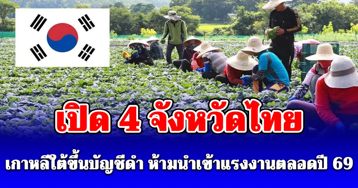 เปิด 4 จังหวัดไทย เกาหลีใต้ขึ้นบัญชีดำ ห้ามนำเข้าแรงงานตลอดปี 69